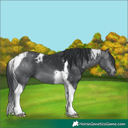Horse Color:Brown Chinchilla Tobiano 