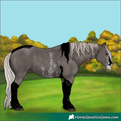 Horse Color:Silver Black Sabino Tobiano 