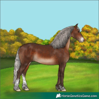 Horse Color:Silver Brown Sabino 