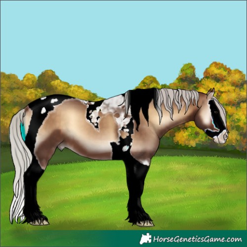 Horse Color:Silver Brown Onyx Splash Tobiano 