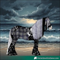 Horse Color:Plaid  Silver Brown Chinchilla Ice Splash Tobiano 