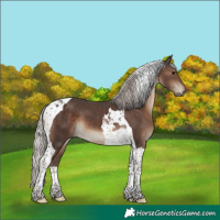 Horse Color:Silver Black Tobiano