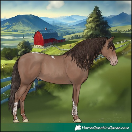Horse Color:Classic Champagne Tobiano 