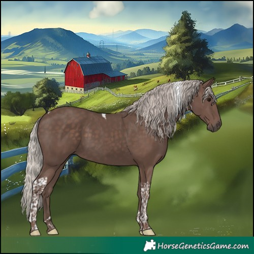 Horse Color:Silver Black Tobiano 