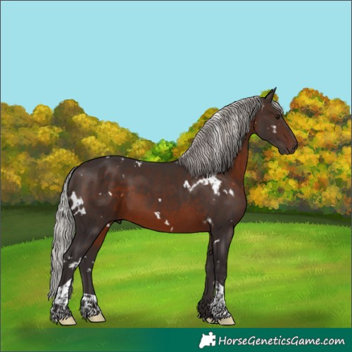 Horse Color:White Spotted Silver Brown Tobiano