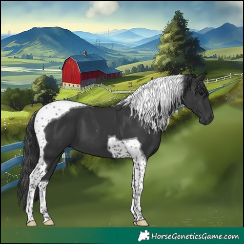 Horse Color:Black Tobiano 