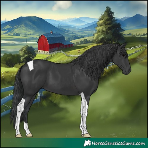 Horse Color:Black Tobiano 