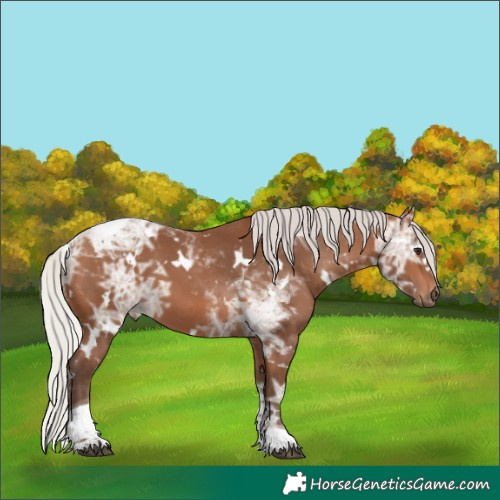 Horse Color:White Spotted Silver Brown Ice Tobiano 