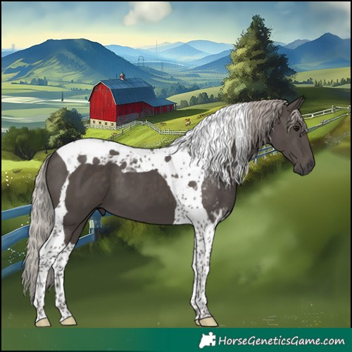 Horse Color:Silver Black Tobiano 