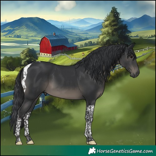 Horse Color:Black Tobiano 