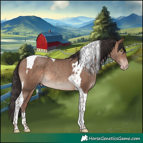 Horse Color:Sable Champagne Tobiano