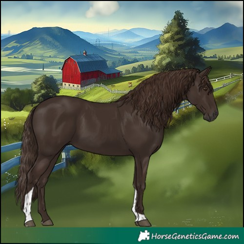 Horse Color:Liver Chestnut Tobiano 