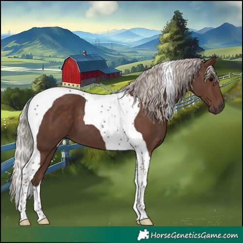 Horse Color:Silver Black Tobiano 