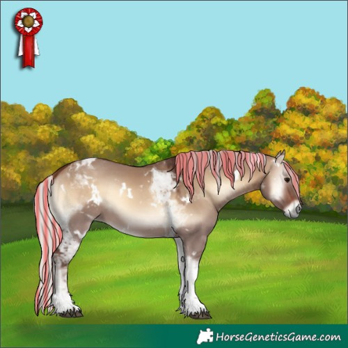 Horse Color:Painted White Spotted Silver Brown Onyx Tobiano 