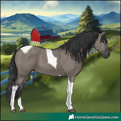Horse Color:Grullo Tobiano