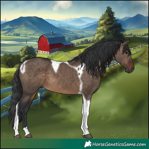 Horse Color:Brown Dun Tobiano 