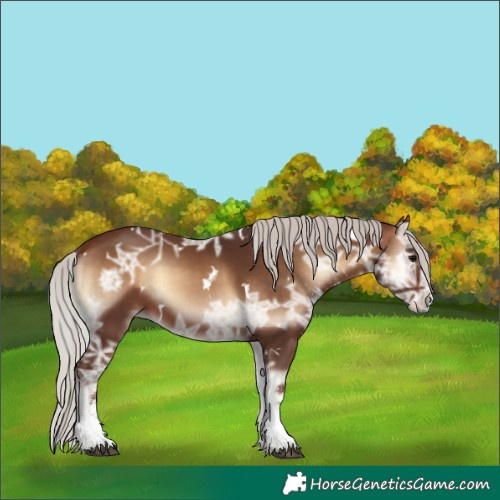 Horse Color:White Spotted Silver Brown Ice Onyx 
