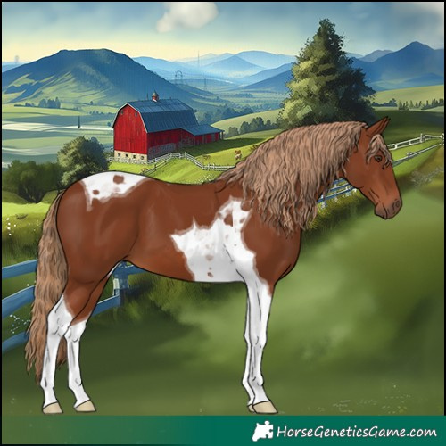 Horse Color:Chestnut Tobiano 