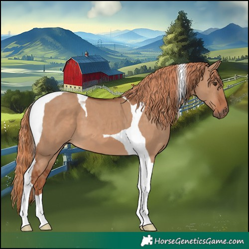 Horse Color:Red Dun Tobiano