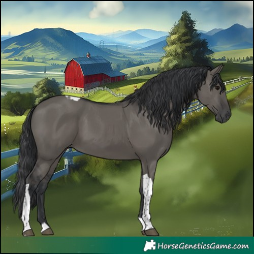 Horse Color:Grullo Tobiano