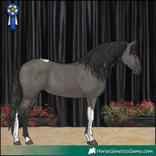 Horse Color:Grullo Tobiano 