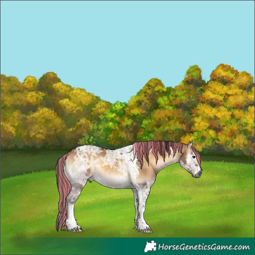 Horse Color:Gray Painted Bay Ice Onyx Tobiano Brindle 