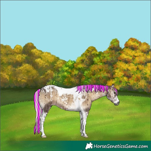 Horse Color:Powder White Gray Painted Silver Grullo Onyx Tobiano Brindle 