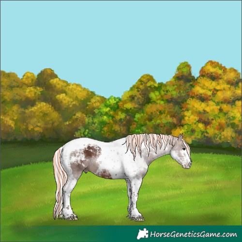 Horse Color:Powder White Painted Silver Brown Tobiano 