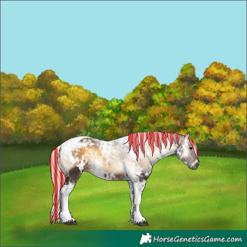 Horse Color:Gray Painted White Spotted Silver Brown Ice Onyx Tobiano 