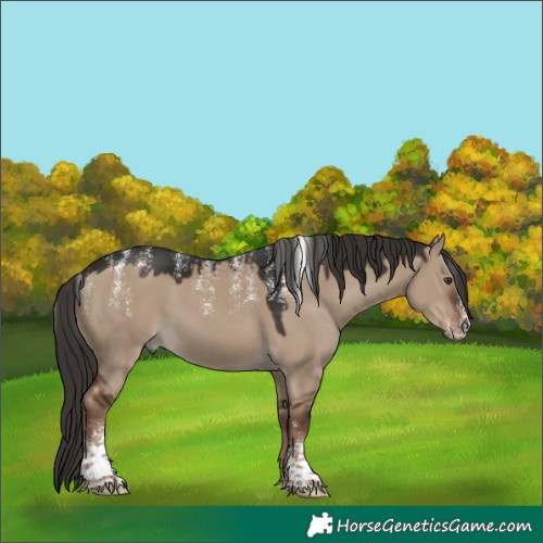 Horse Color:Powder White Liver Red Dun 