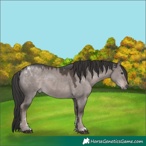 Horse Color:Powder White Platinum Liver Red Dun 