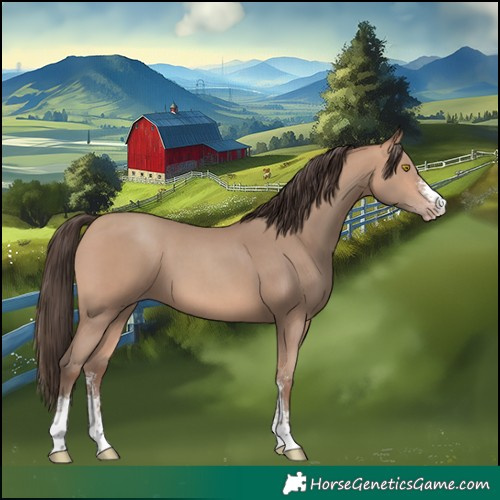 Horse Color:Amber Champagne Sabino