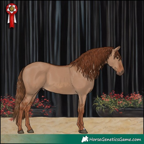 Horse Color:Red Dun 
