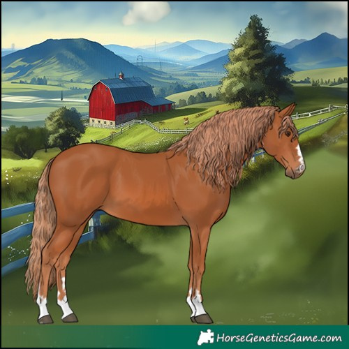 Horse Color:Chestnut 