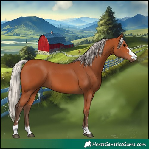 Horse Color:Silver Bay 