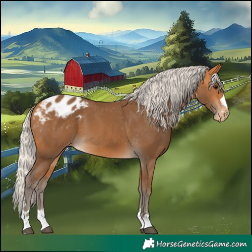 Horse Color:Silver Buckskin Appaloosa 