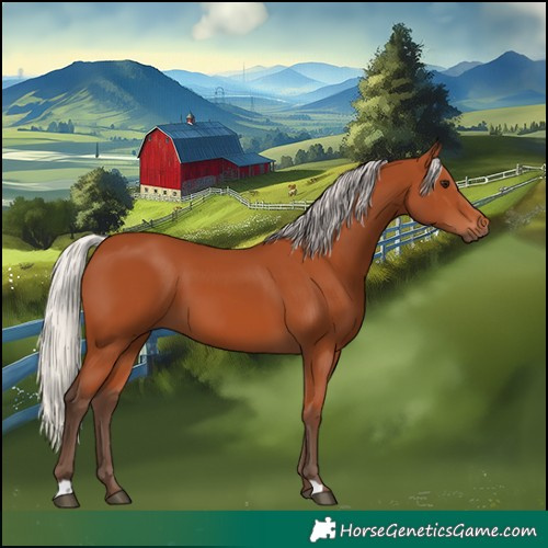 Horse Color:Silver Bay 