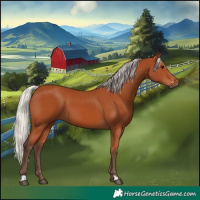 Horse Color:Silver Bay