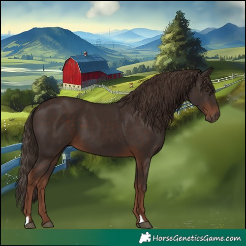 Horse Color:Liver Chestnut 