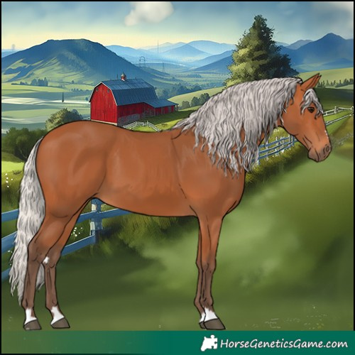 Horse Color:Silver Bay 