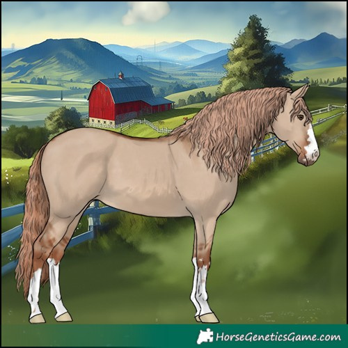 Horse Color:Red Dun 