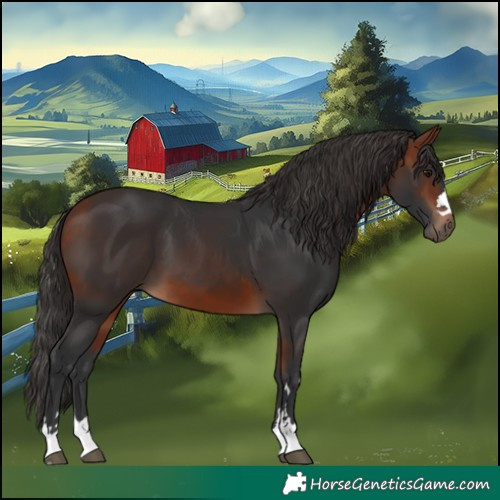 Horse Color:Bay 