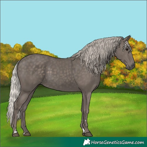 Horse Color:Silver Black 