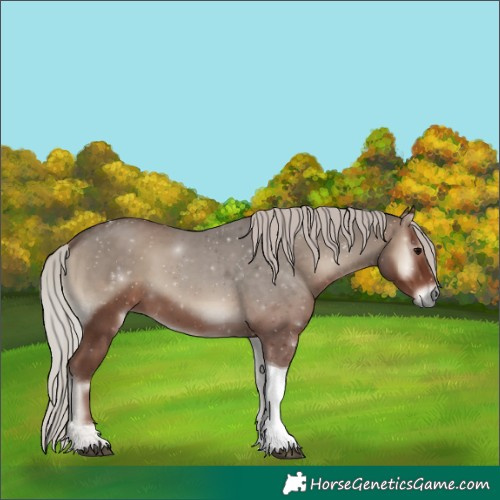 Horse Color:Silver Blue Onyx Tobiano 