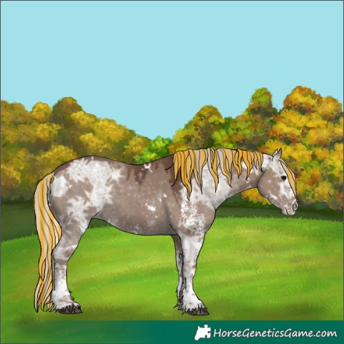 Horse Color:Painted White Spotted Silver Grullo Ice 