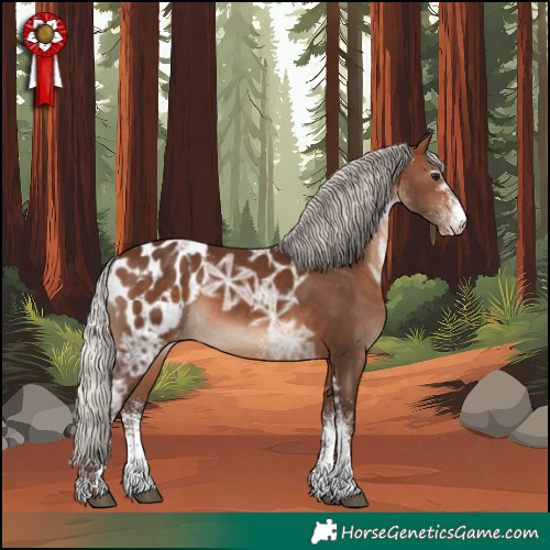 Horse Color:White Spotted Silver Brown Ice Appaloosa 