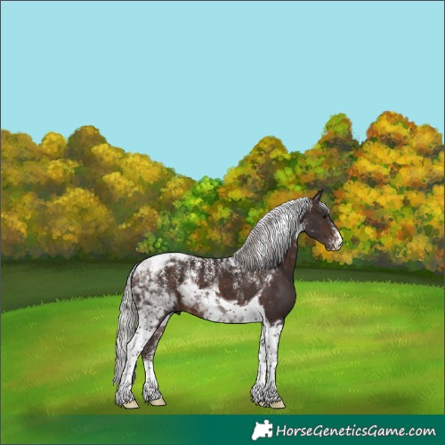 Horse Color:Powder White Silver Brown Tobiano 