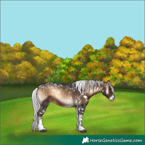 Horse Color:White Spotted Silver Brown Onyx Tobiano Brindle 
