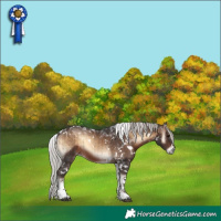 Horse Color:White Spotted Silver Brown Onyx Tobiano Brindle 