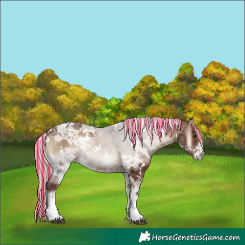 Horse Color:Painted White Spotted Silver Blue Onyx Ice Tobiano 
